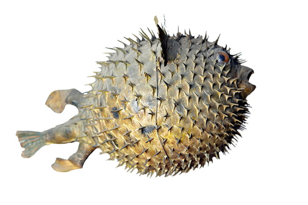 Alte Suidtersche Apotheke Luzern