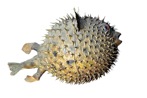 Alte Suidtersche Apotheke Luzern